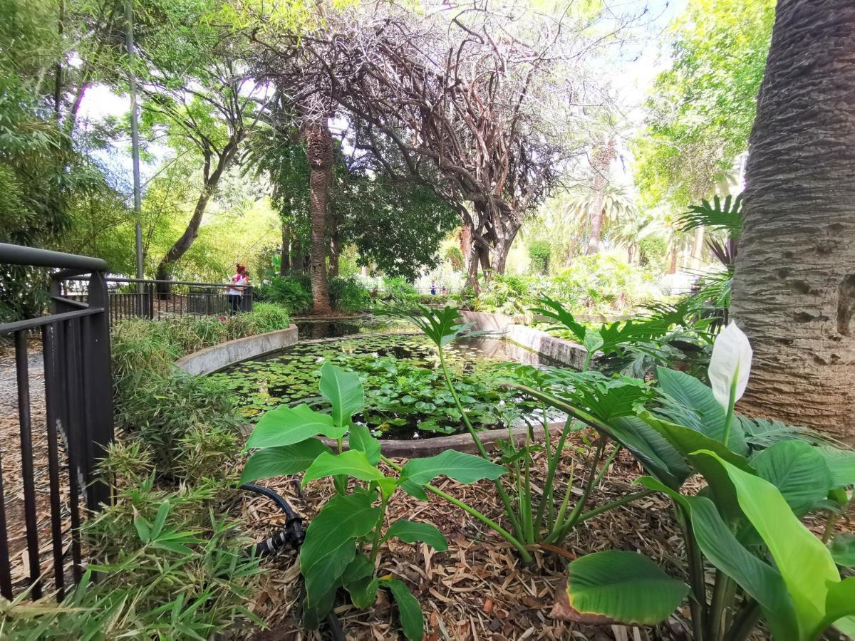 Home2Book El Encanto 3 De Mayo Санта-Крус-де-Тенеріфе Екстер'єр фото